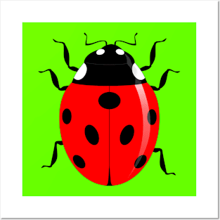 RED AND BLACK SPOTTED BEETLE Posters and Art